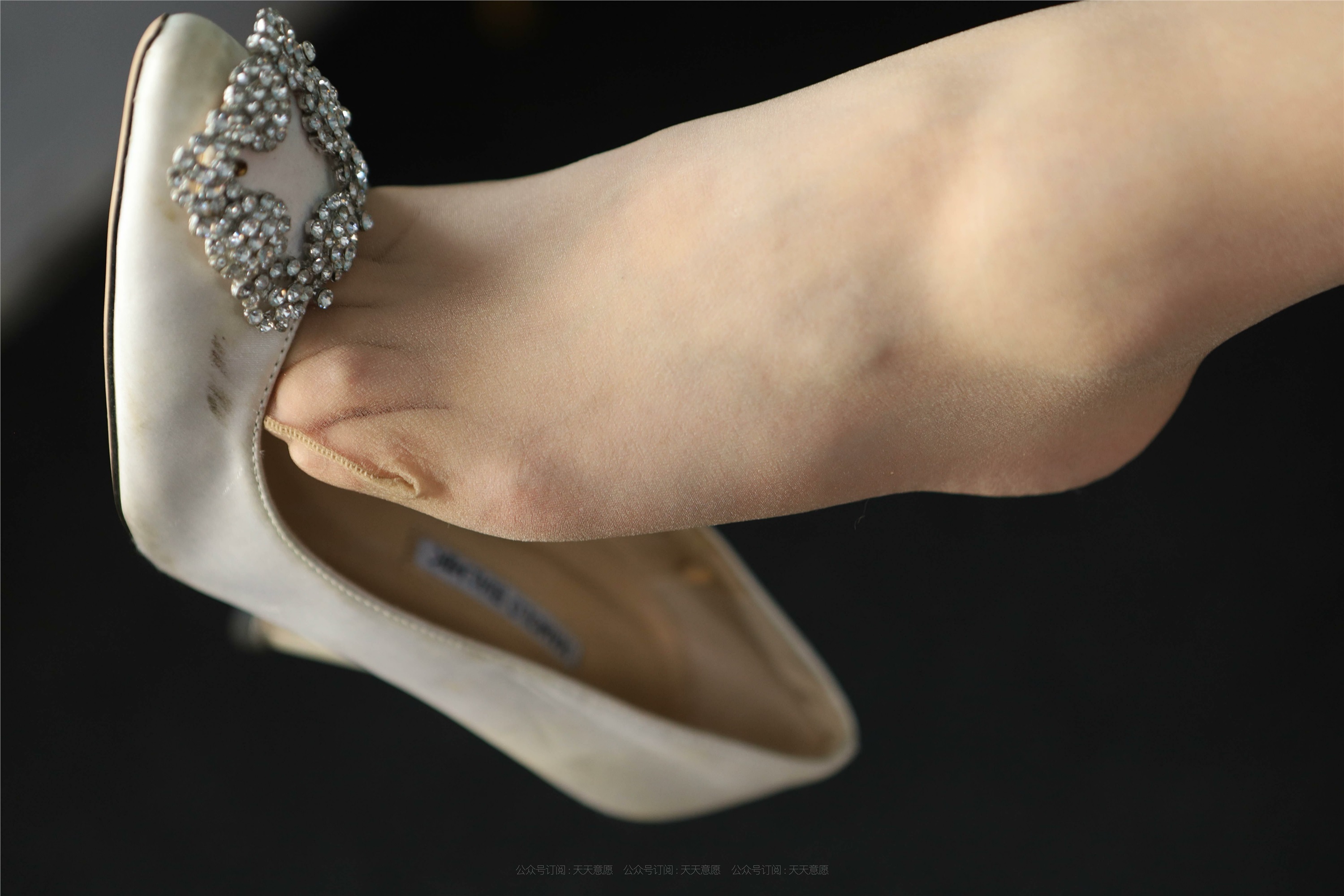 IESS异思趣向 2021.11.29 丝享家980：秋秋《诱人白玫瑰》